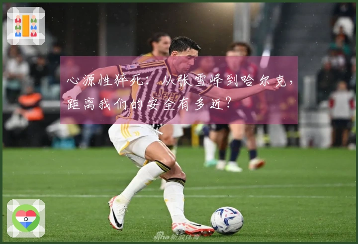 心源性猝死：从张雪峰到哈尔克，距离我们的安全有多近？
